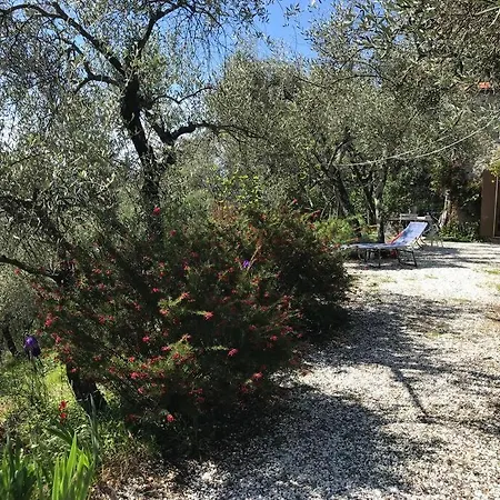Casa Indipendente Immersa Negli Ulivi * Trebiano