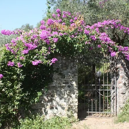 Hébergement de vacances Casa Indipendente Immersa Negli Ulivi