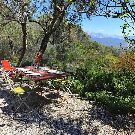 Casa Indipendente Immersa Negli Ulivi Hébergement de vacances Trebiano