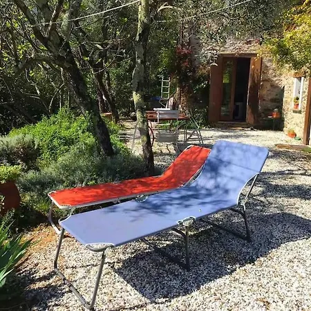 Casa Indipendente Immersa Negli Ulivi Trebiano