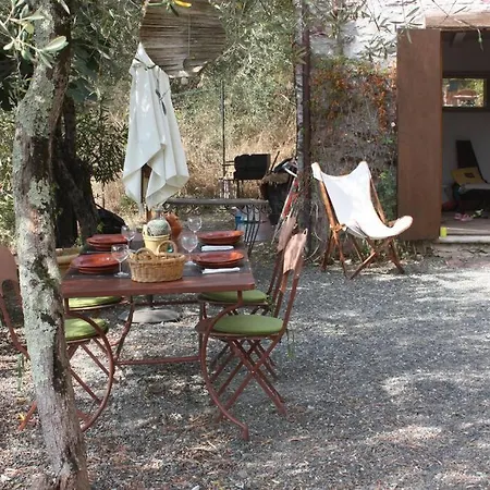 Casa Indipendente Immersa Negli Ulivi Trebiano